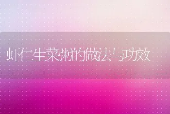 虾仁生菜粥的做法与功效