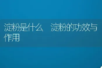 淀粉是什么 淀粉的功效与作用