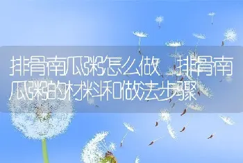 排骨南瓜粥怎么做 排骨南瓜粥的材料和做法步骤