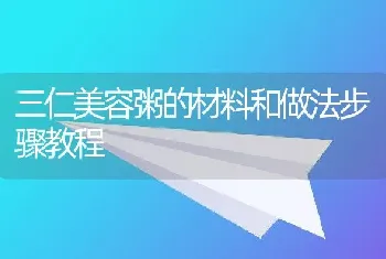 三仁美容粥的材料和做法步骤教程