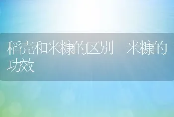 稻壳和米糠的区别 米糠的功效