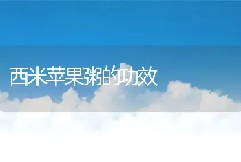 西米苹果粥的功效