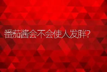 番茄酱会不会使人发胖？