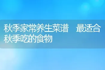 秋季家常养生菜谱 最适合秋季吃的食物