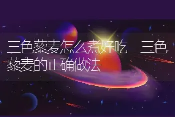 三色藜麦怎么煮好吃 三色藜麦的正确做法