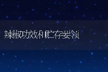 辣椒功效和贮存要领