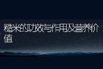 糙米的功效与作用及营养价值