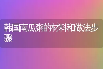 韩国南瓜粥的材料和做法步骤