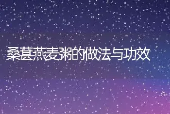 桑葚燕麦粥的做法与功效