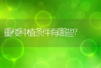 重楼种植条件有哪些?