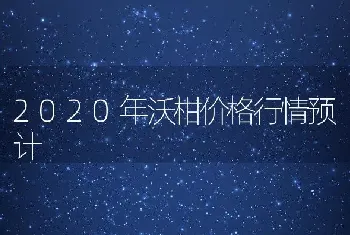 2020年沃柑价格行情预计