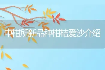 中柑所新品种柑桔爱沙介绍