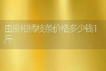 由良柑橘枝条价格多少钱1斤