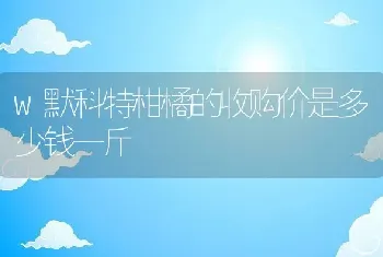 w默科特柑橘的收购价是多少钱一斤