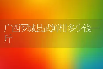 广西罗城县武鲜柑多少钱一斤