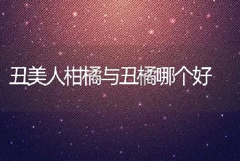 丑美人柑橘与丑橘哪个好