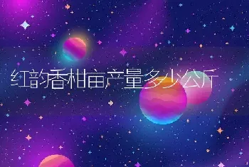 红韵香柑亩产量多少公斤