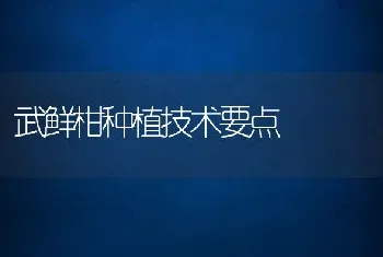 武鲜柑种植技术要点