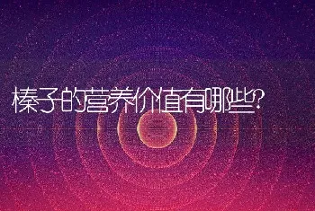 榛子的营养价值有哪些?