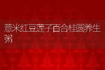 薏米红豆莲子百合桂圆养生粥