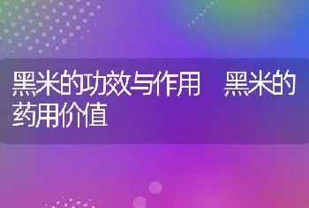 黑米的功效与作用 黑米的药用价值