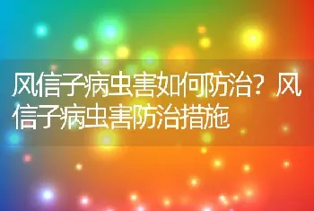 风信子病虫害如何防治？风信子病虫害防治措施