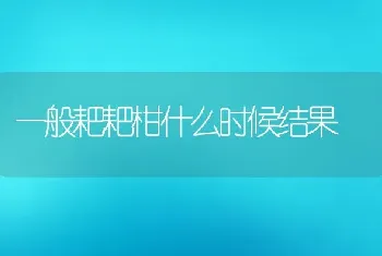 一般耙耙柑什么时候结果