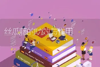 丝瓜藤的功效与作用