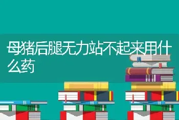 母猪后腿无力站不起来用什么药