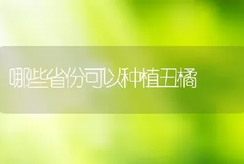 哪些省份可以种植丑橘