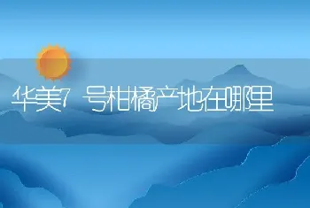 华美7号柑橘产地在哪里