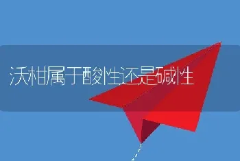 沃柑属于酸性还是碱性