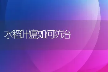 水稻叶瘟如何防治