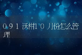 091沃柑10月份怎么管理