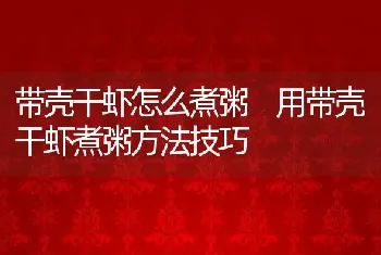 带壳干虾怎么煮粥 用带壳干虾煮粥方法技巧