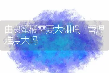 由良蜜橘需要大棚吗,管理难度大吗