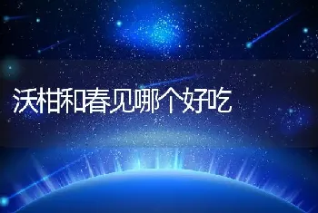 沃柑和春见哪个好吃