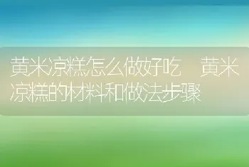 黄米凉糕怎么做好吃 黄米凉糕的材料和做法步骤