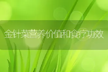 沃柑在云南哪里种植较多