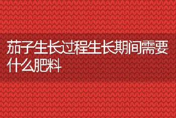 茄子生长过程生长期间需要什么肥料