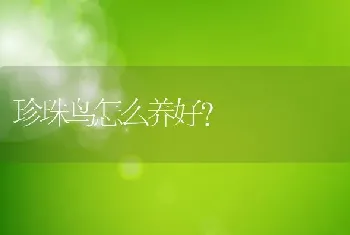 珍珠鸟怎么养好?