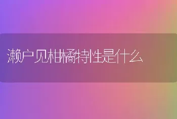 濑户见柑橘特性是什么