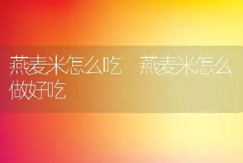 燕麦米怎么吃 燕麦米怎么做好吃