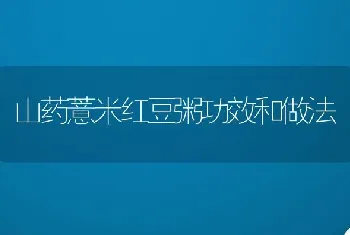 山药薏米红豆粥功效和做法