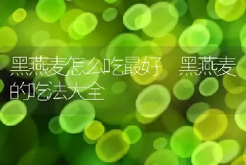 黑燕麦怎么吃最好 黑燕麦的吃法大全