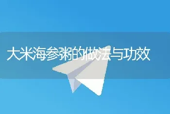 大米海参粥的做法与功效