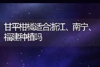 甘平柑橘适合浙江、南宁、福建种植吗