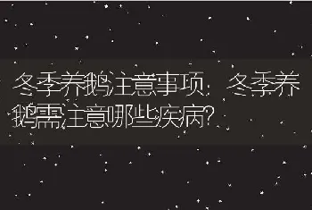 冬季养鹅注意事项：冬季养鹅需注意哪些疾病？