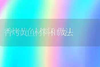 香烤黄鱼材料和做法