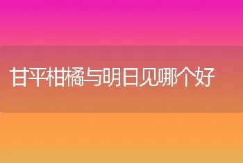 甘平柑橘与明日见哪个好